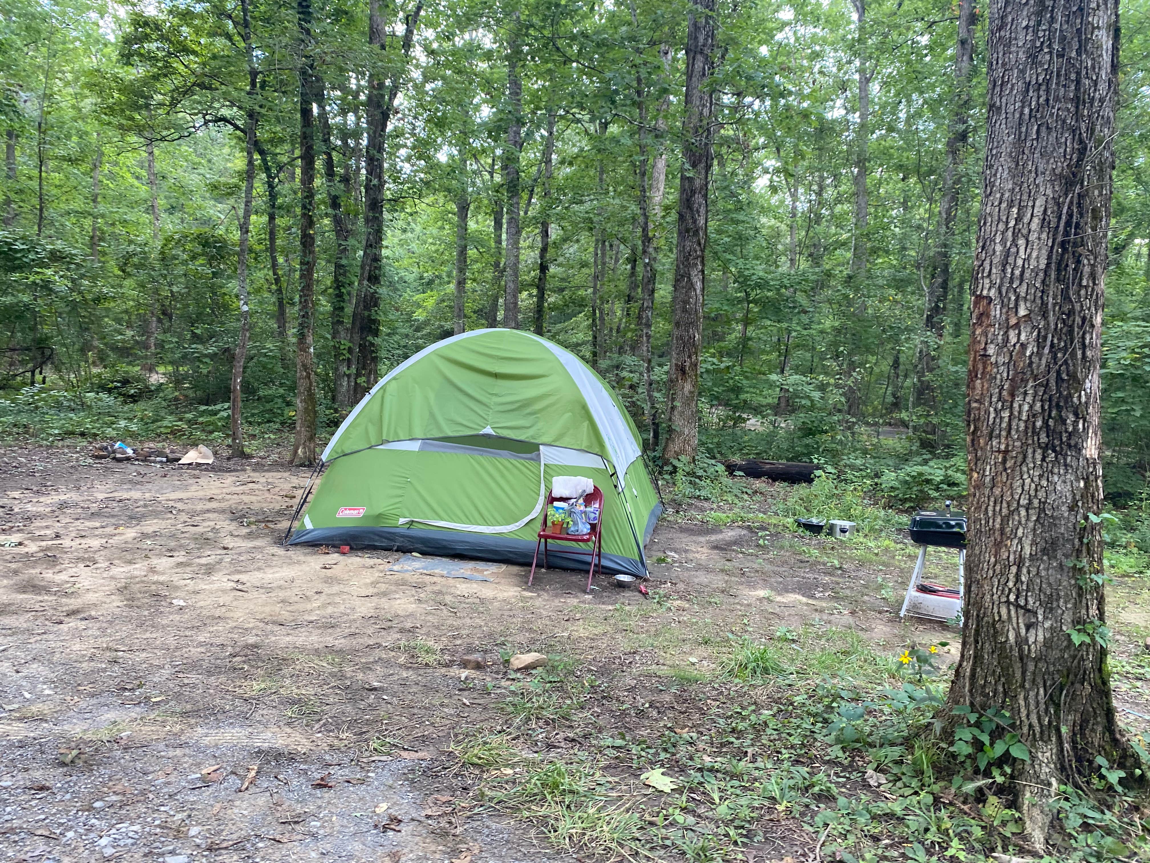 Everest C.'s photo of tent camping at Hunter’s Check Station Campground - Prentice Cooper State Forest near Signal Mountain, TN