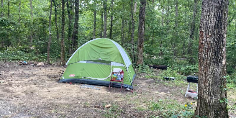 Camper submitted image from Hunter’s Check Station Campground - Prentice Cooper State Forest