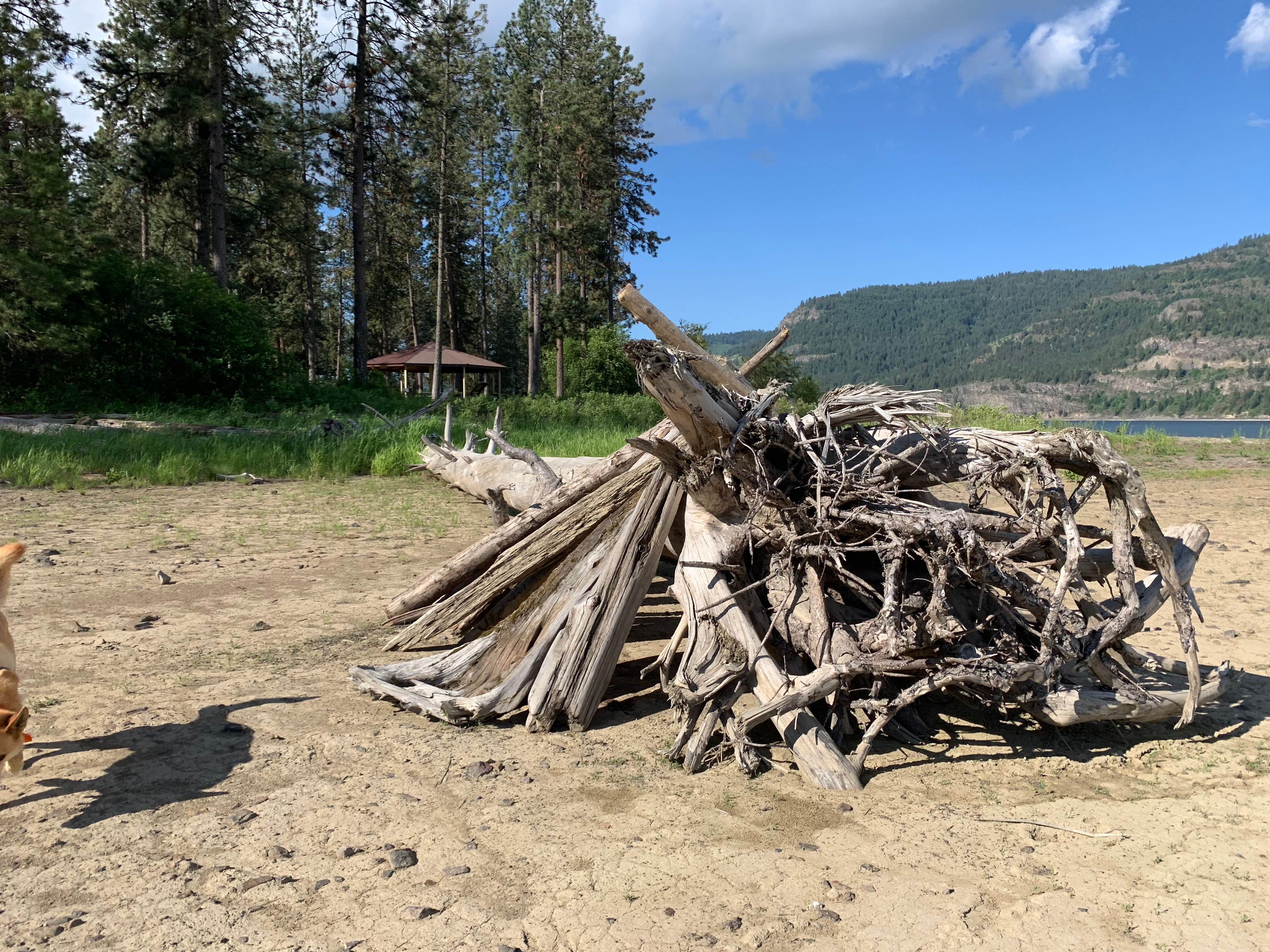 Camper-submitted photo at Hunters Campground — Lake Roosevelt National Recreation Area near Inchelium, WA