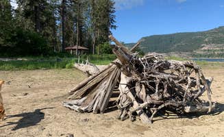 krysta O.'s photo of camping with pets at Hunters Campground — Lake Roosevelt National Recreation Area near Loon Lake, WA