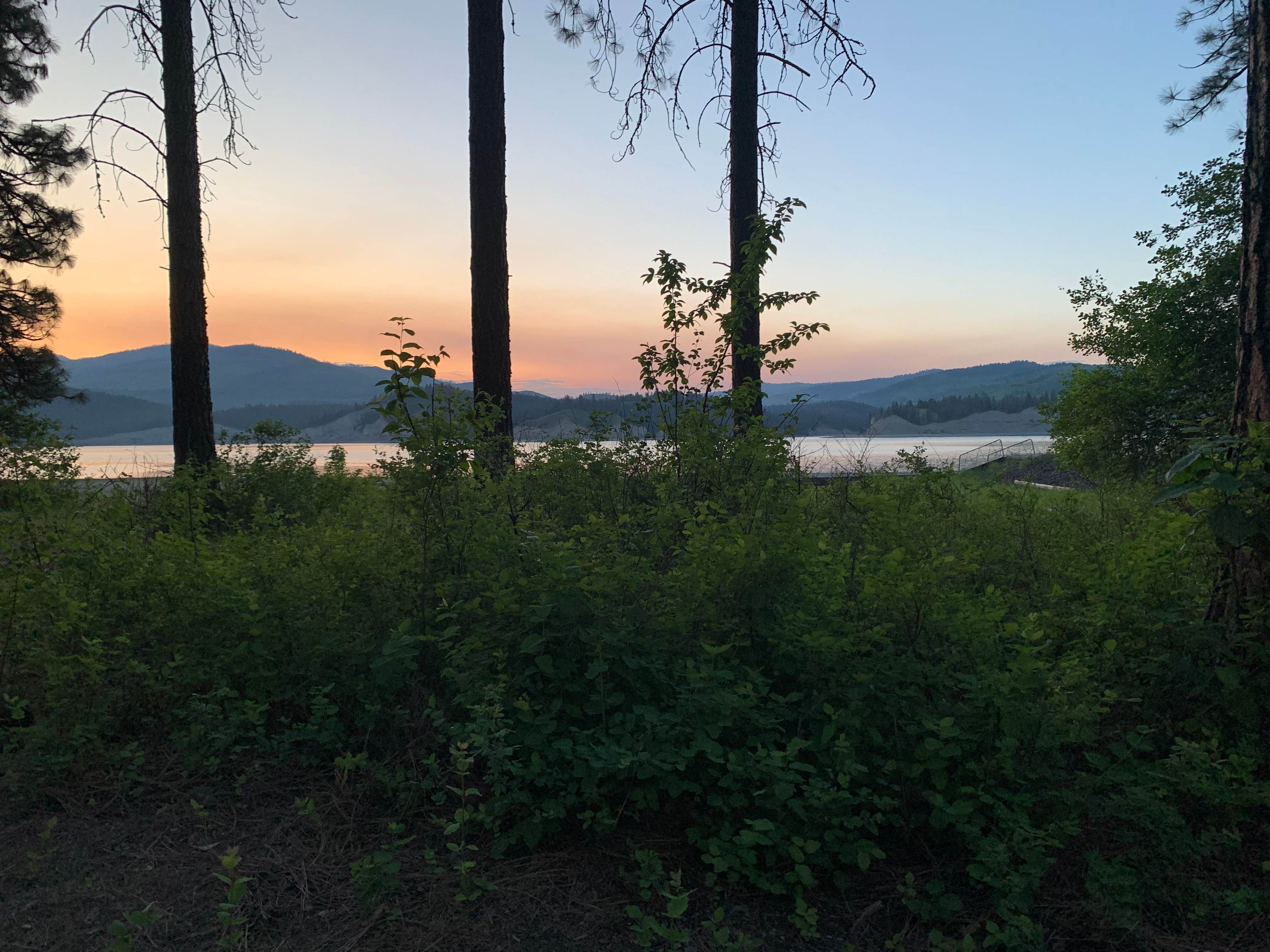 Camping near Hartman's Log Cabin Resort: Hunters Campground — Lake Roosevelt National Recreation Area, Lake Roosevelt National Recreation Area, Washington