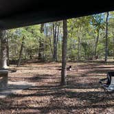 Review photo of Huntsville State Park Campground by steven B., November 15, 2024