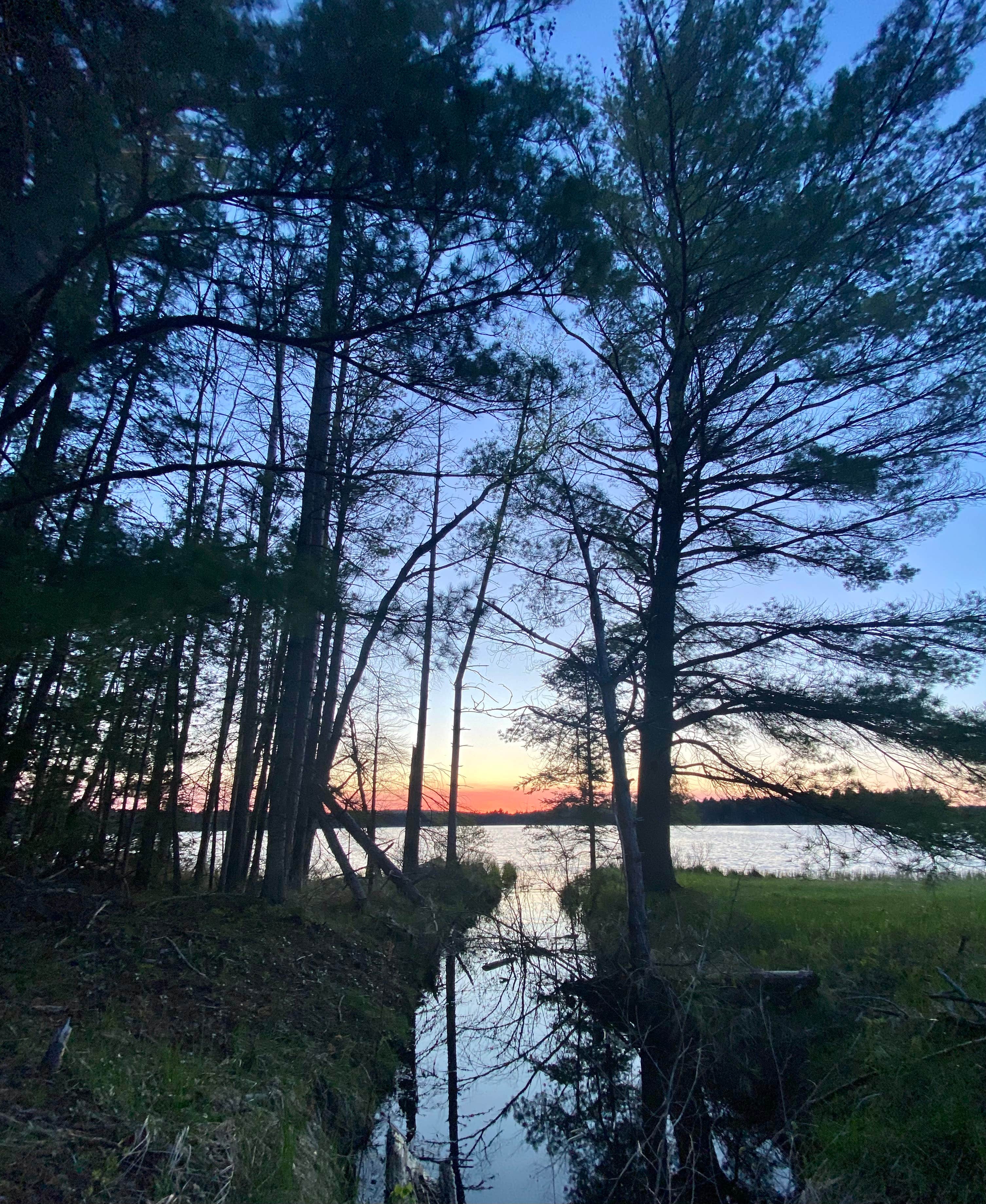 Camper submitted image from Wakeley Lake Campground — Huron Manistee National Forests - 3