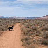 Review photo of Hurricane Cliffs BLM dispersed #1-12 spur by Greg L., March 10, 2024