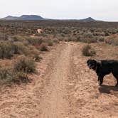 Review photo of Hurricane Cliffs BLM dispersed #1-12 spur by Greg L., March 10, 2024