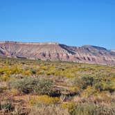 Review photo of Hurricane Cliffs BLM dispersed #1-12 spur by Starla R., September 27, 2023