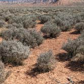 Review photo of Hurricane Cliffs BLM dispersed #1-12 spur by Greg L., March 10, 2024