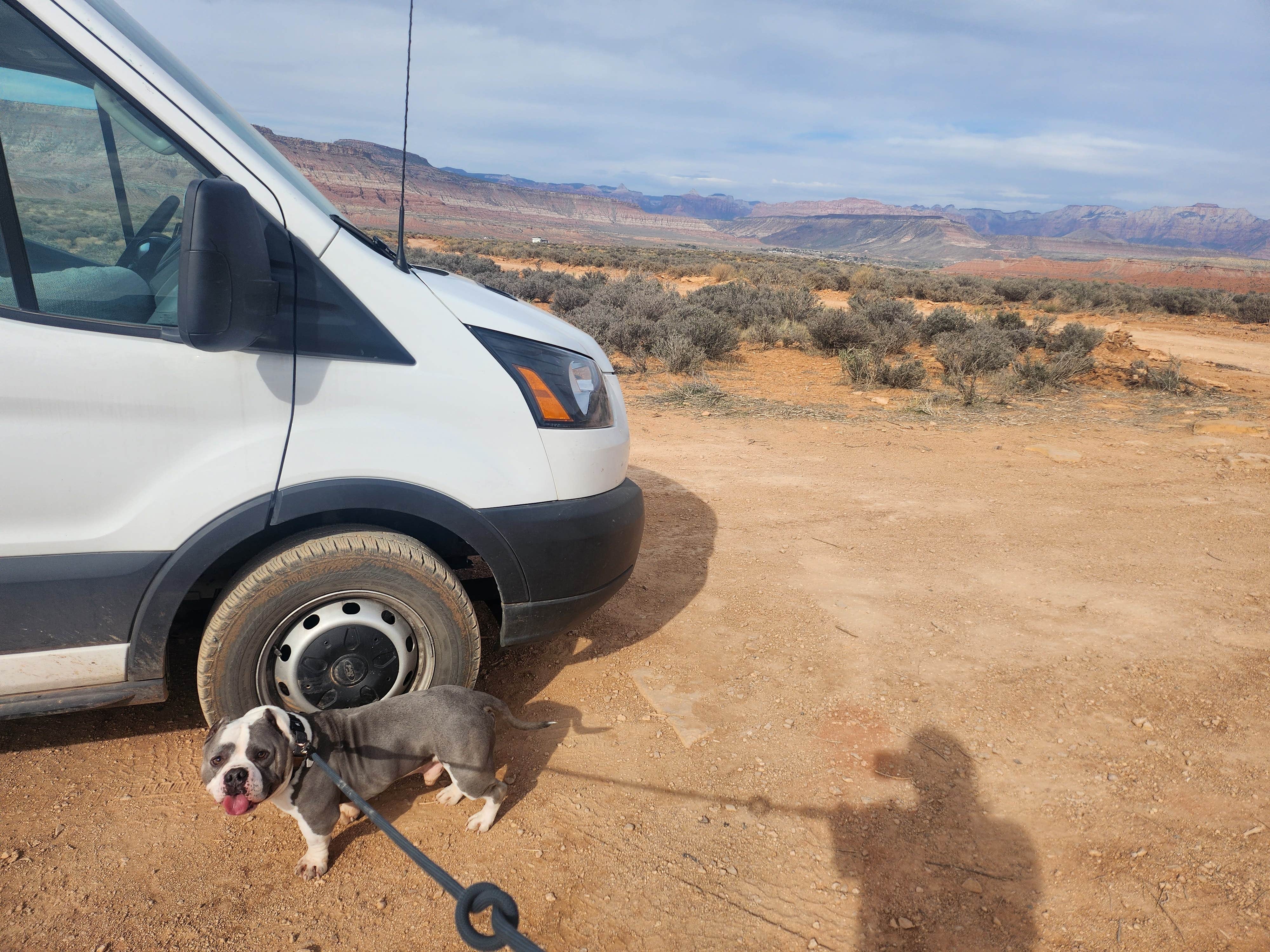 Kelda C.'s photo of camping with pets at Hurricane Cliffs BLM dispersed #13-#19 spur near Leeds, UT