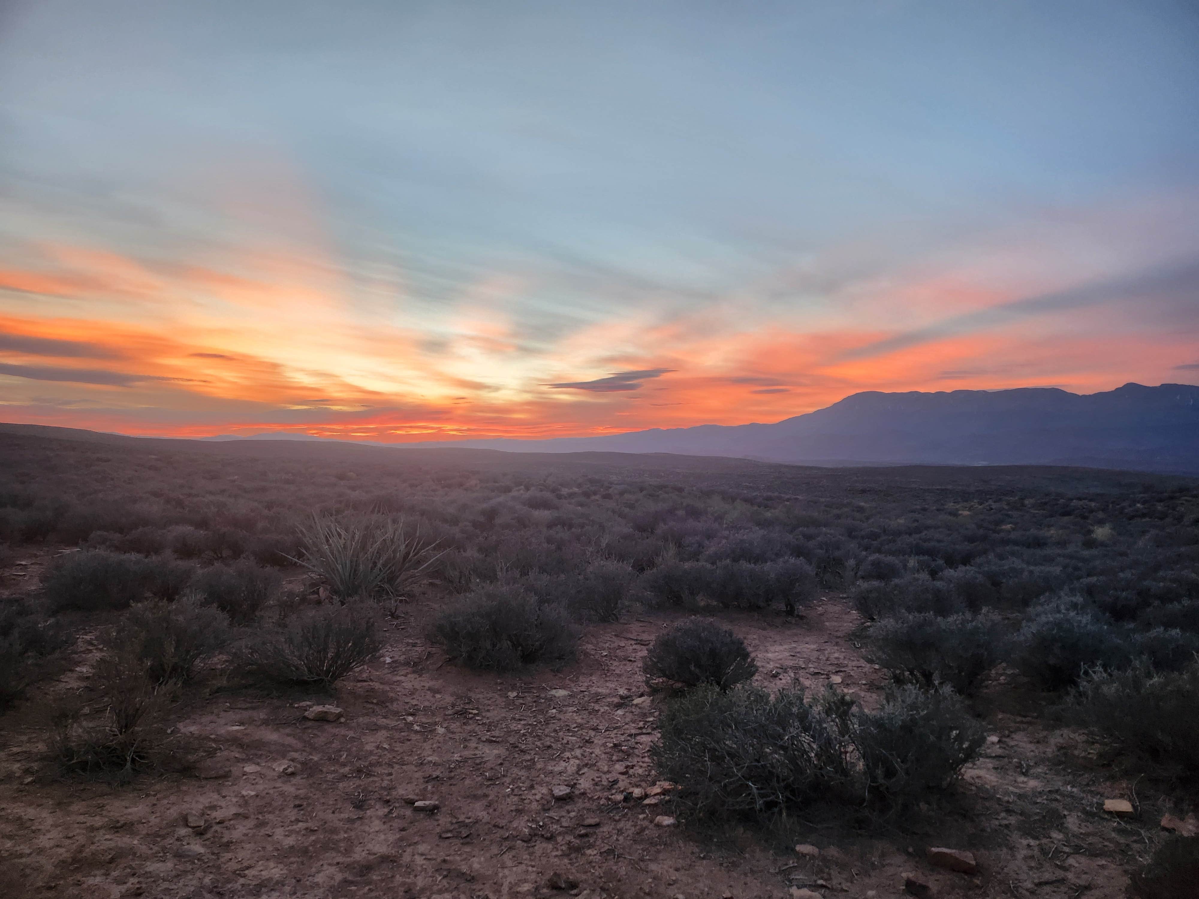 Kelda C.'s photo of a dispersed camping area at Hurricane Cliffs BLM dispersed #13-#19 spur near Central, UT