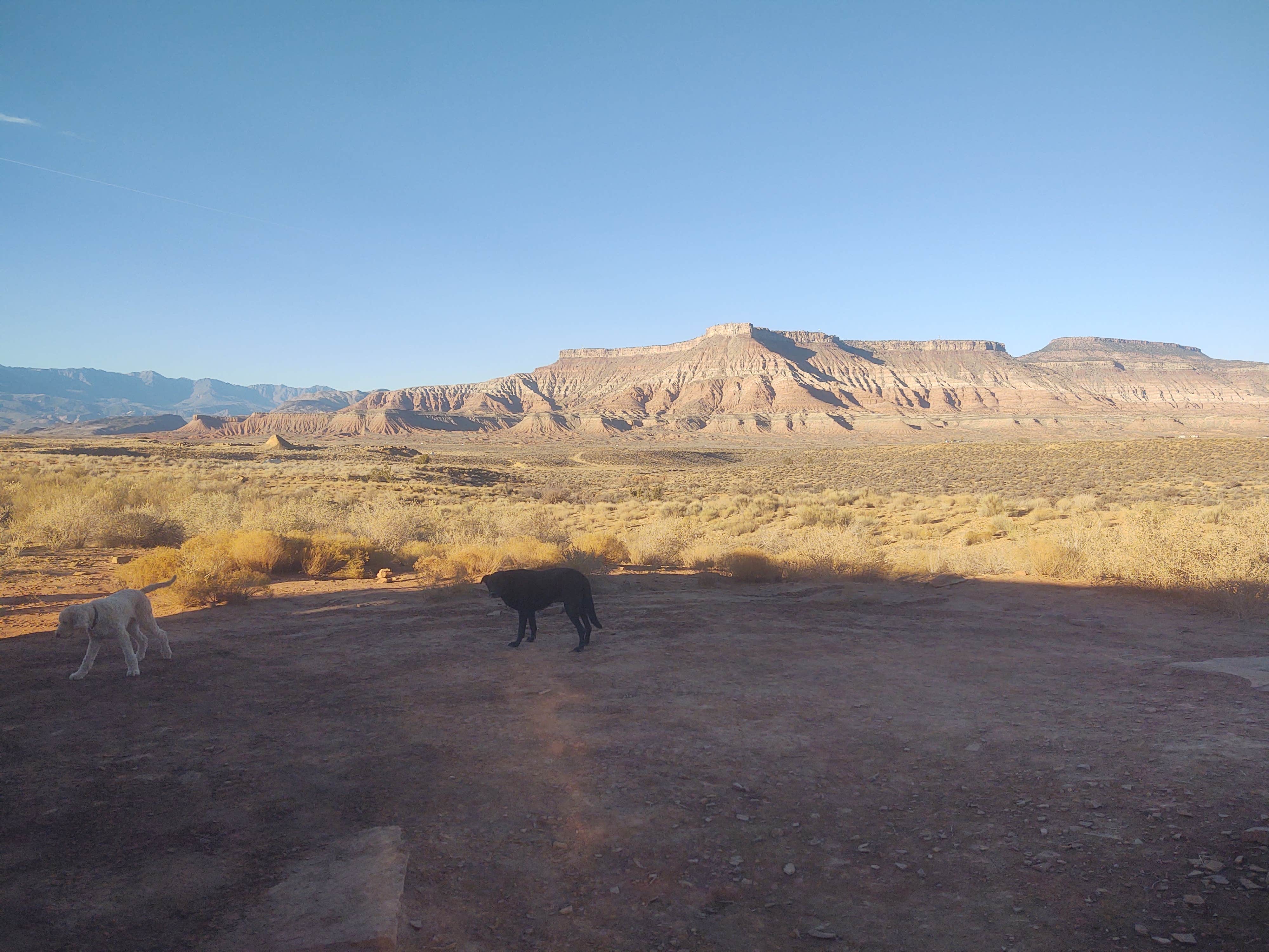 Camper submitted image from Hurricane Cliffs BLM Dispersed #38 - 3