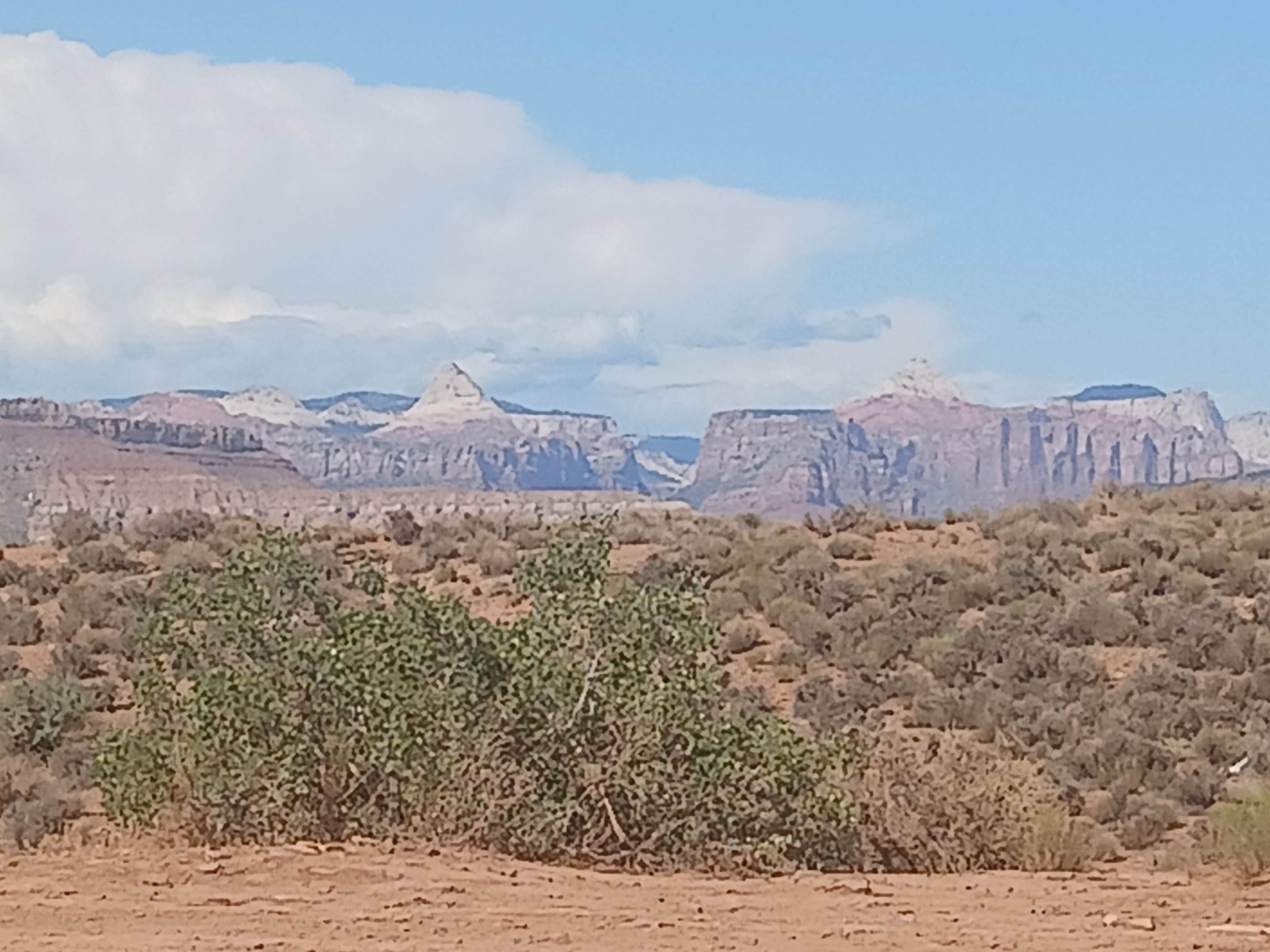 Camper submitted image from Hurricane Cliffs BLM dispersed #39 - 1