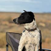 Review photo of Hurricane Cliffs BLM dispersed #39 by David N., November 18, 2025