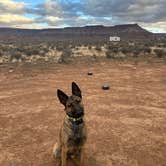 Review photo of Hurricane Cliffs BLM Dispersed Sites 20-35 spur by Erin A., March 6, 2024