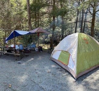 Camper-submitted photo from Hurricane Creek Camp