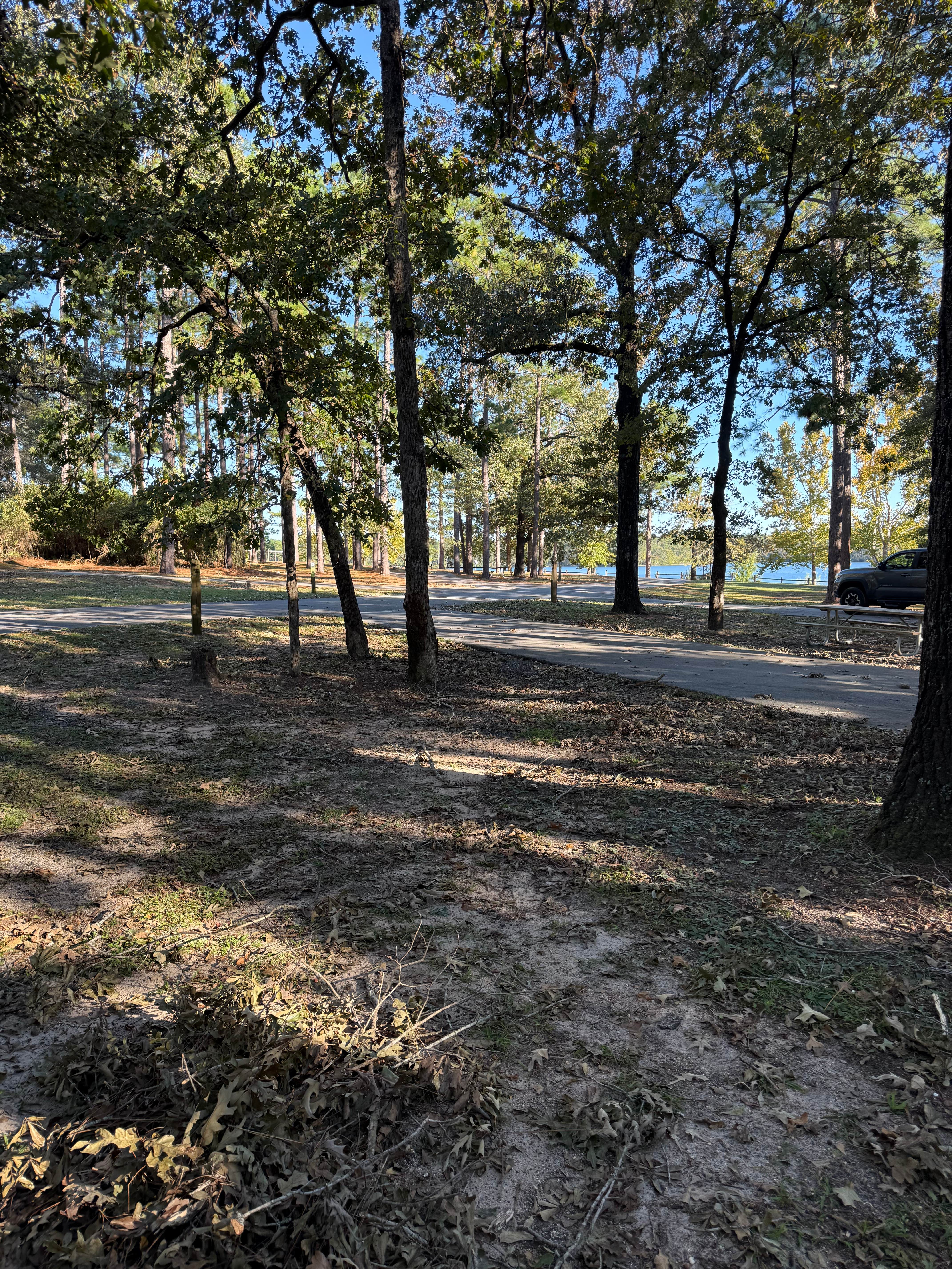 Camper-submitted photo at Hurricane Lake North Campground near Silver Springs, FL