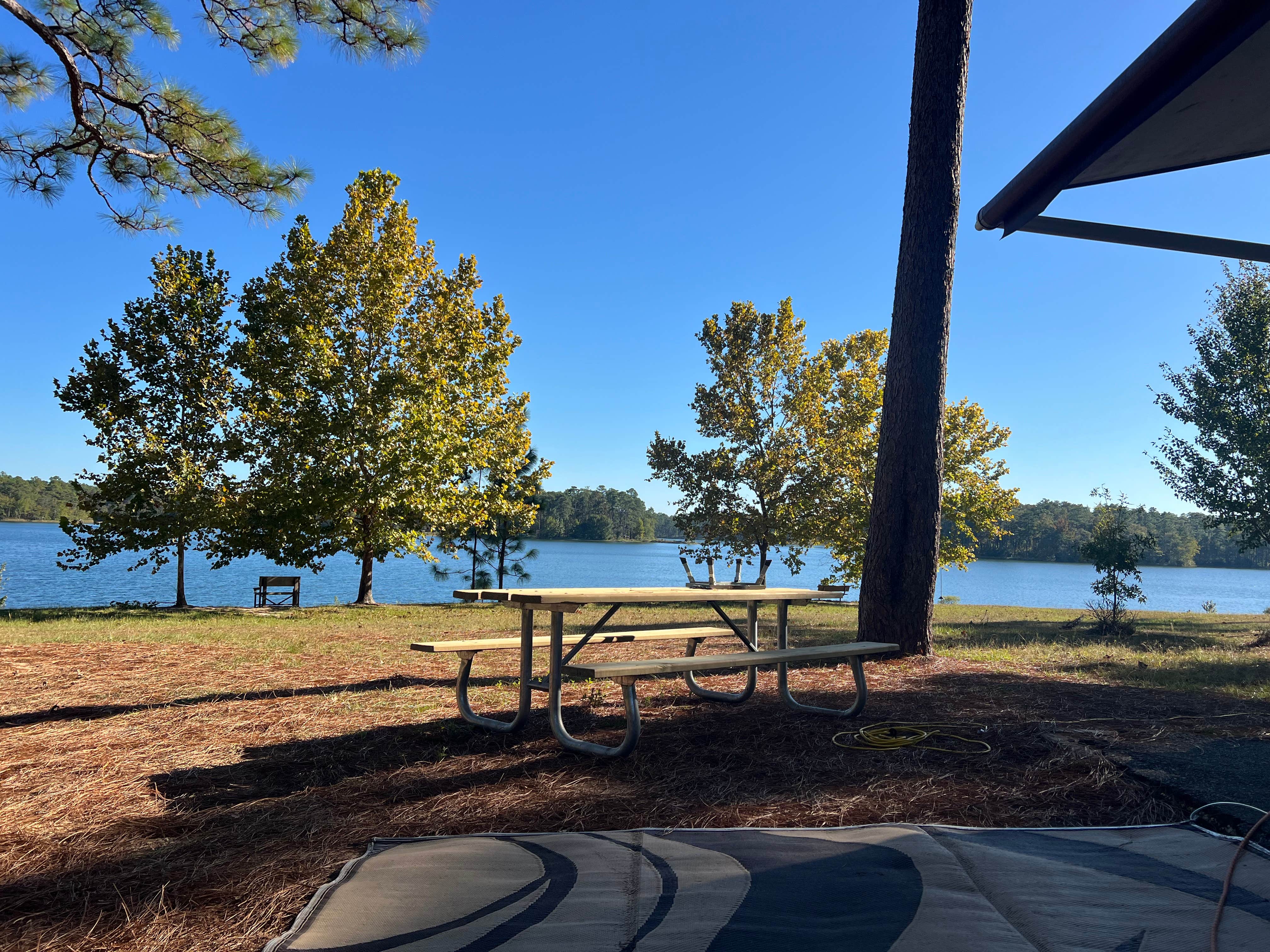 Camping near Bear Lake East Primitive Group Campsite — Blackwater River State Forest: Hurricane Lake North Campground, Wing, Florida