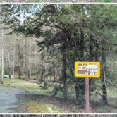 Review photo of Fires Creek Hunters Camp/Huskins Branch by Robin B., April 13, 2024
