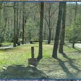 Review photo of Fires Creek Hunters Camp/Huskins Branch by Robin B., April 13, 2024