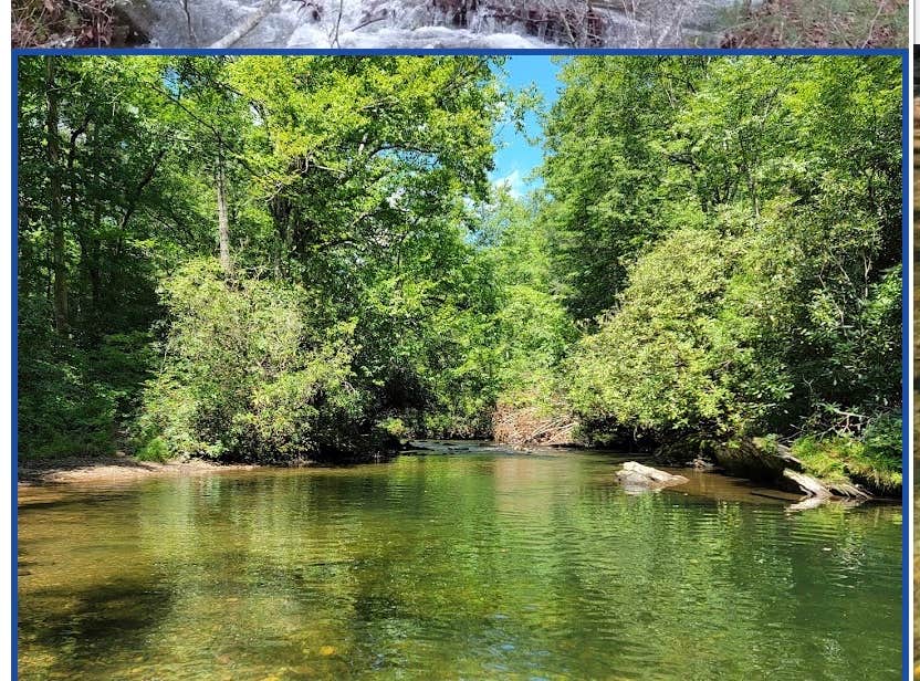Robin B.'s photo of a dispersed camping area at Fires Creek Hunters Camp/Huskins Branch near Tallassee, TN