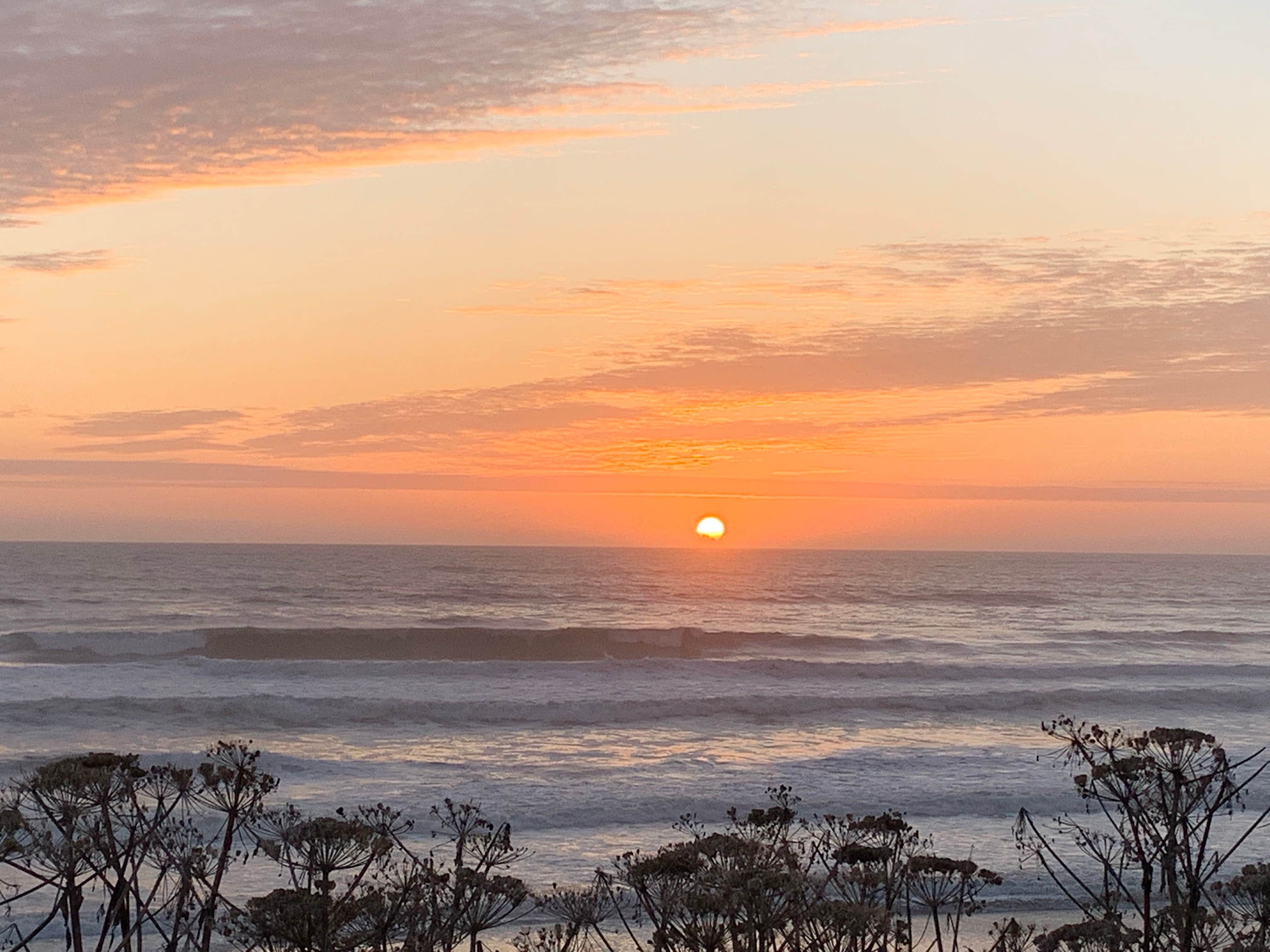 Camper submitted image from Hwy 101 - Near South Beach Campground - 3