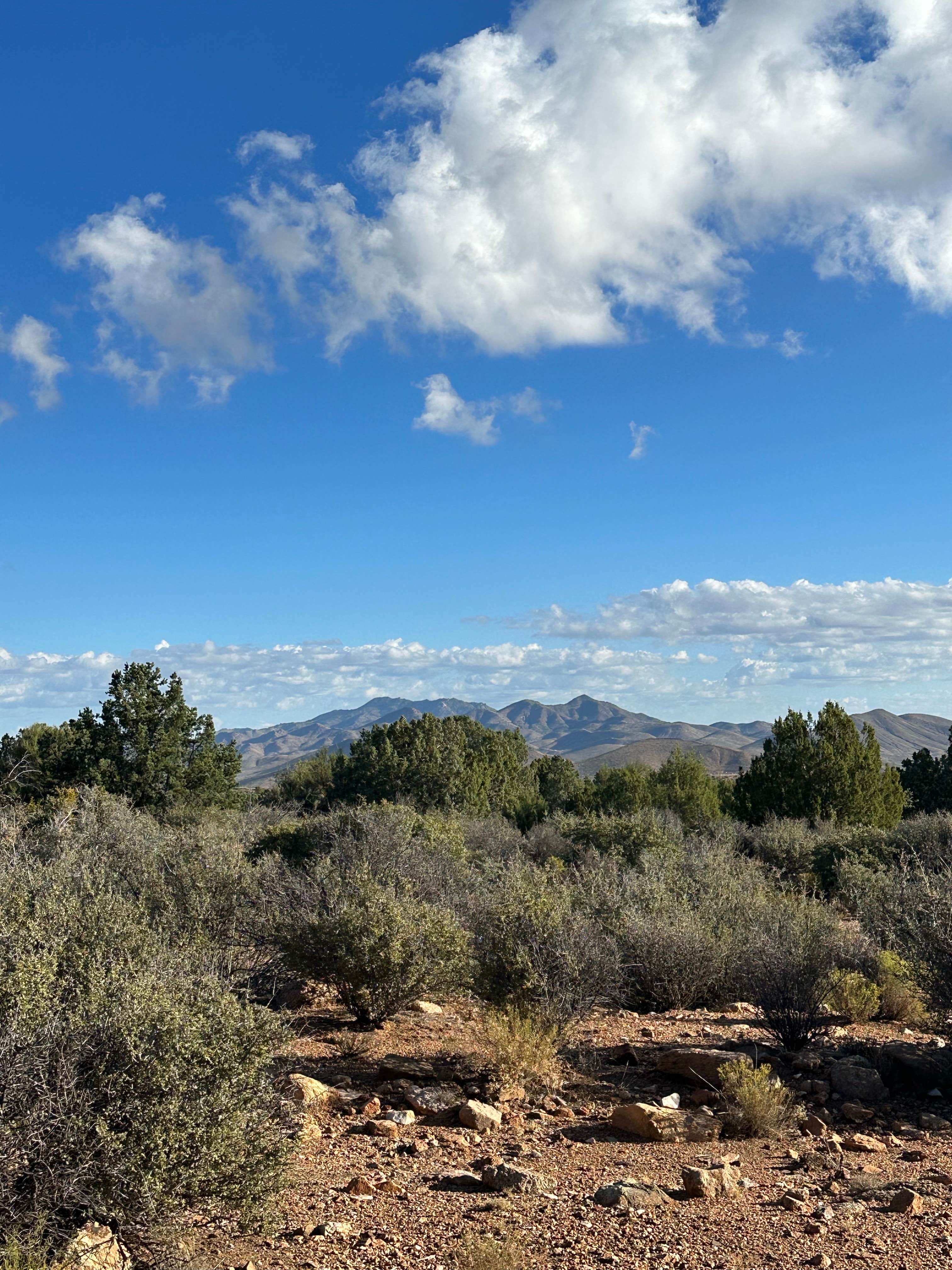 Karsyn P.'s photo of a dispersed camping area at Hwy 193 BLM Dispersed near Peach Springs, AZ