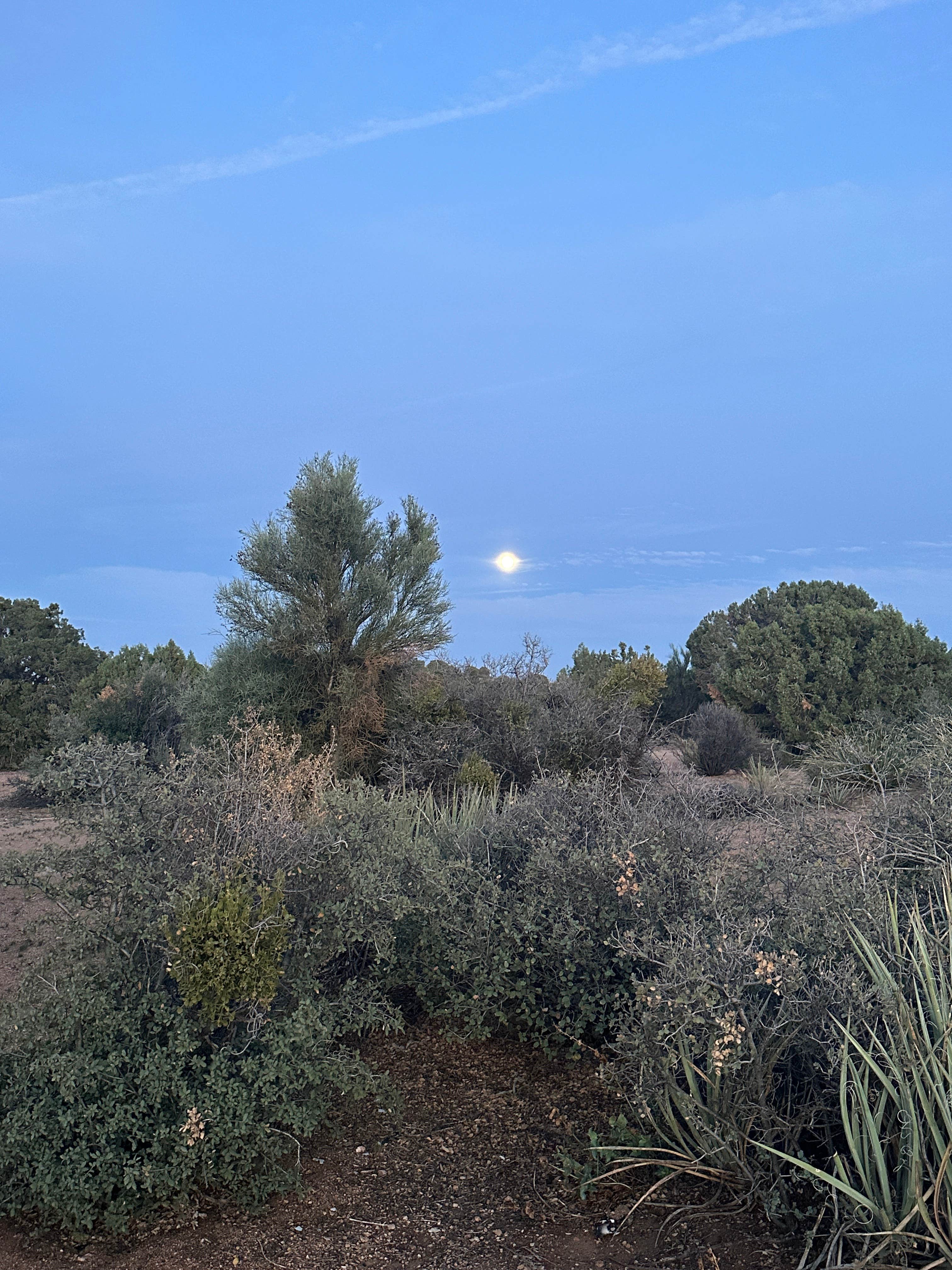 Hwy 193 BLM Dispersed