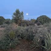 Review photo of Hwy 193 BLM Dispersed by Mike S., May 12, 2025