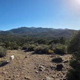 Review photo of Hwy 193 BLM Dispersed by Lynn , July 9, 2026