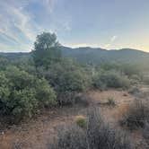 Review photo of Hwy 193 BLM Dispersed by Mike S., May 12, 2025