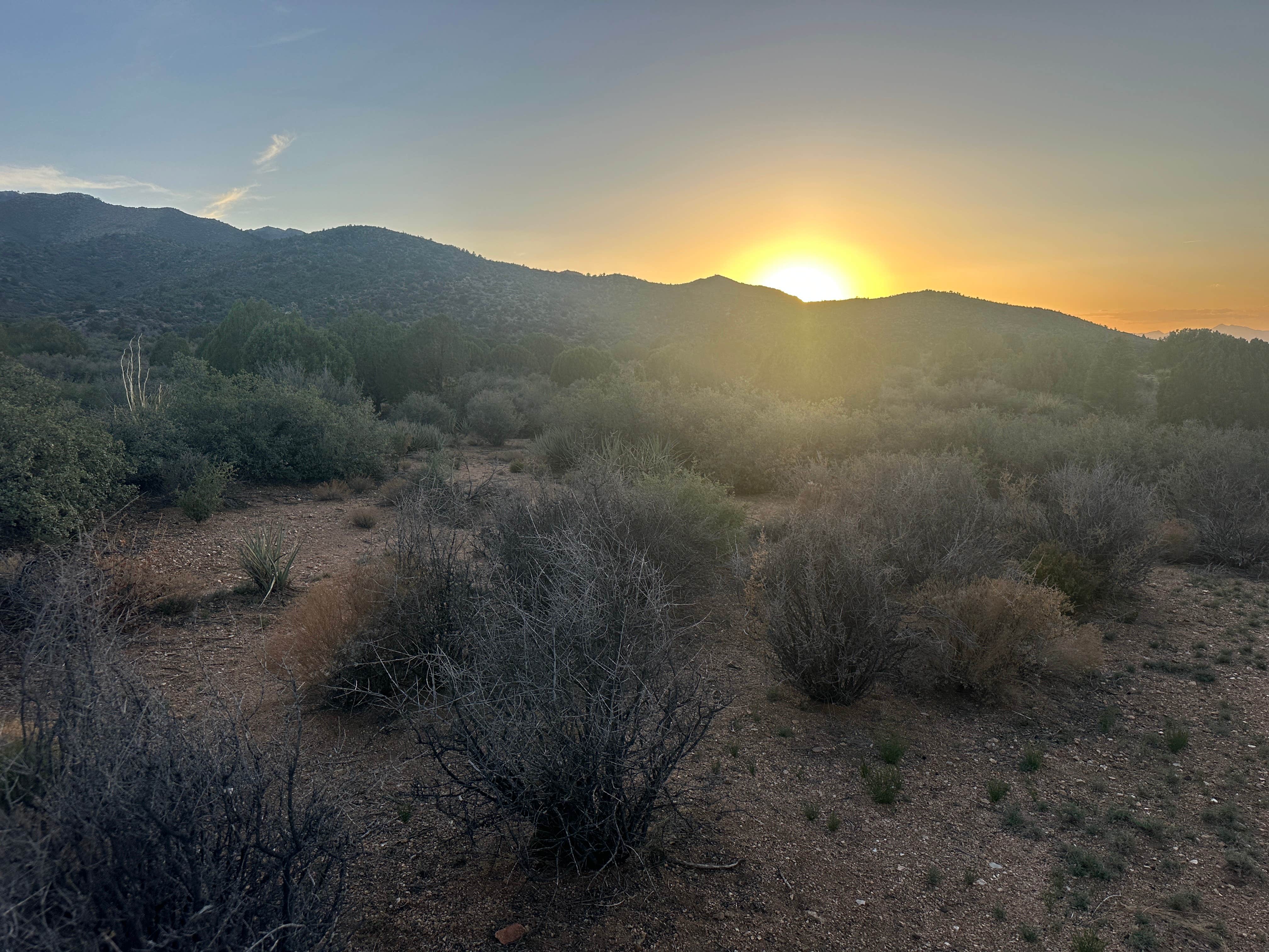 Mike S.'s photo of a dispersed camping area at Hwy 193 BLM Dispersed near Kingman, AZ