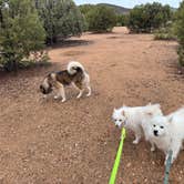 Review photo of Hwy 193 BLM Dispersed by Michael B., November 19, 2025