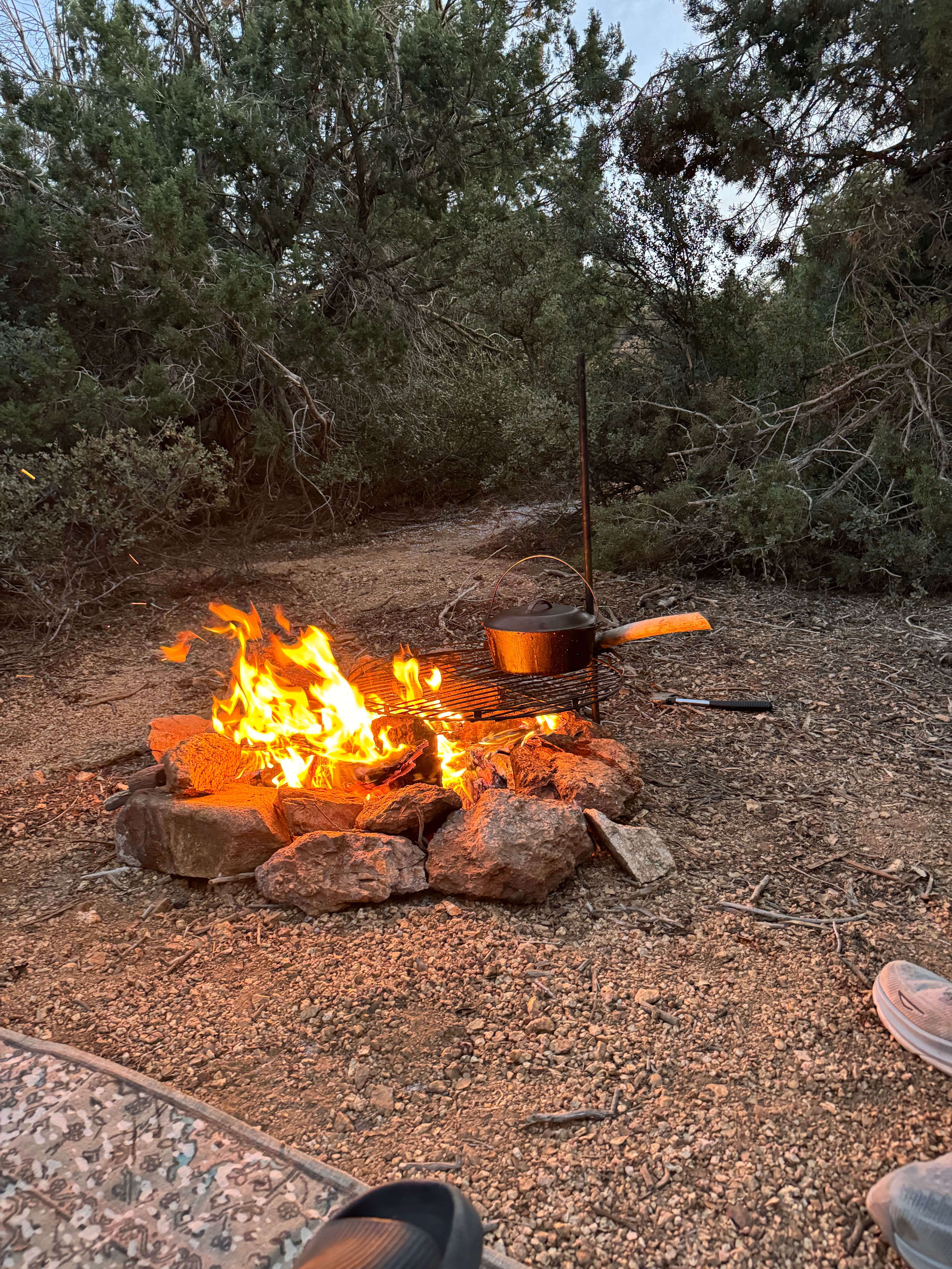 Camper-submitted photo at Hwy 193 BLM Dispersed near Kingman, AZ