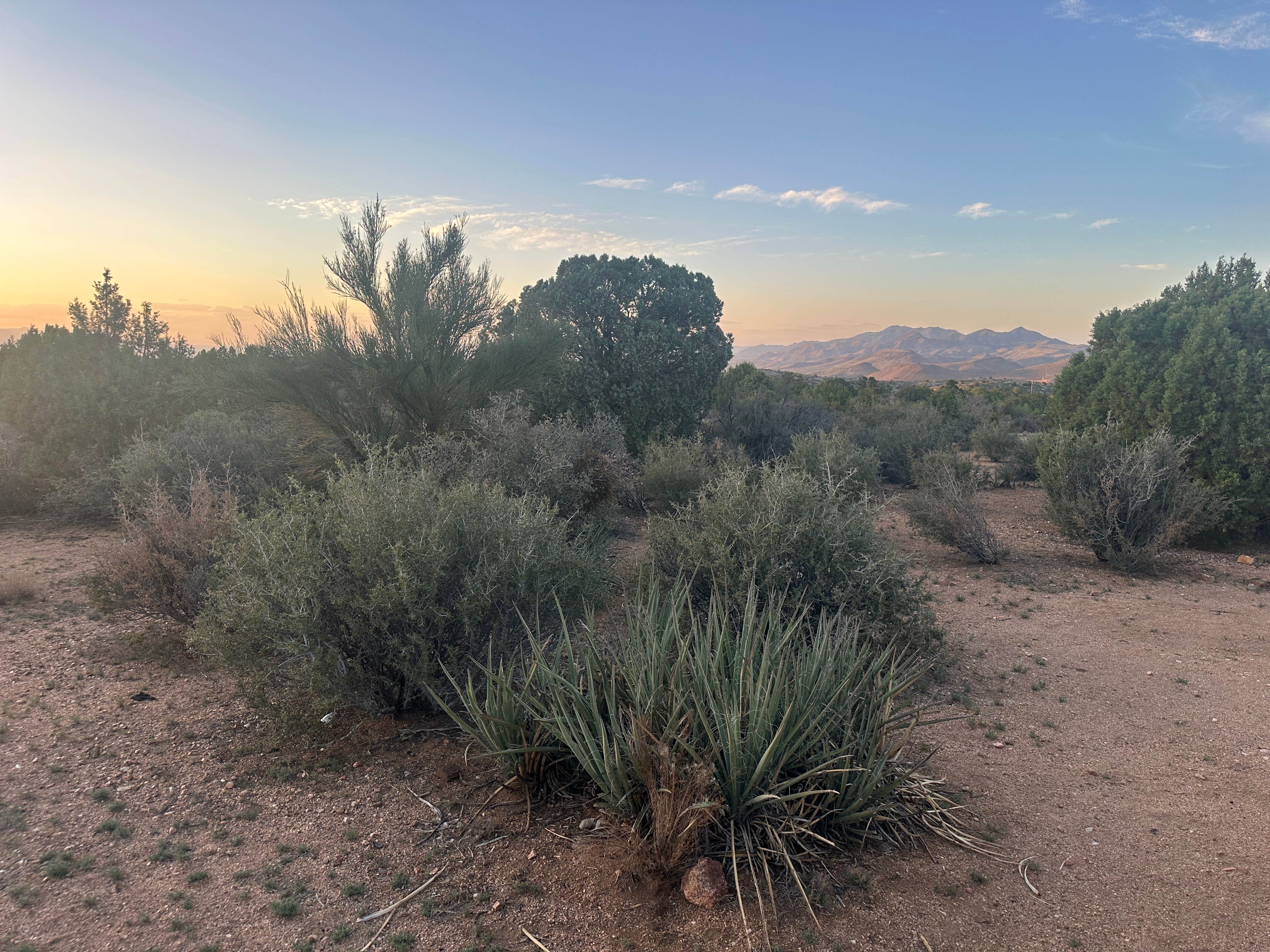Camper-submitted photo at Hwy 193 BLM Dispersed near Kingman, AZ
