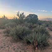Review photo of Hwy 193 BLM Dispersed by Mike S., May 12, 2025