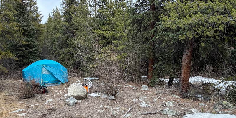 Camper submitted image from HWY 91 SE