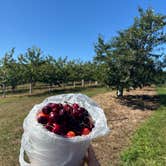 Review photo of Hy-Land Court RV Park by Scott B., July 22, 2025