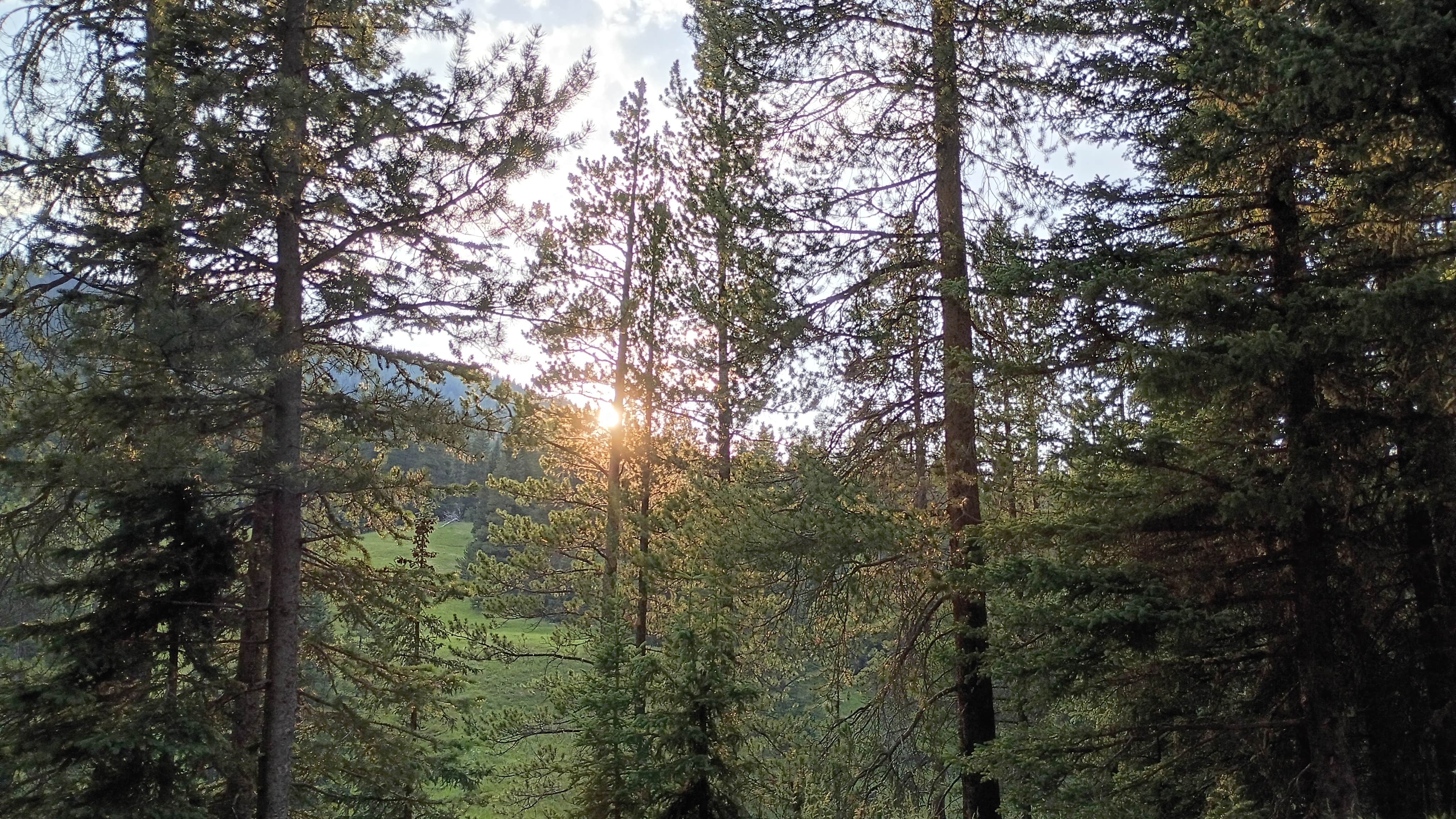 Camper-submitted photo at Hyalite Canyon Dispersed near Livingston, MT