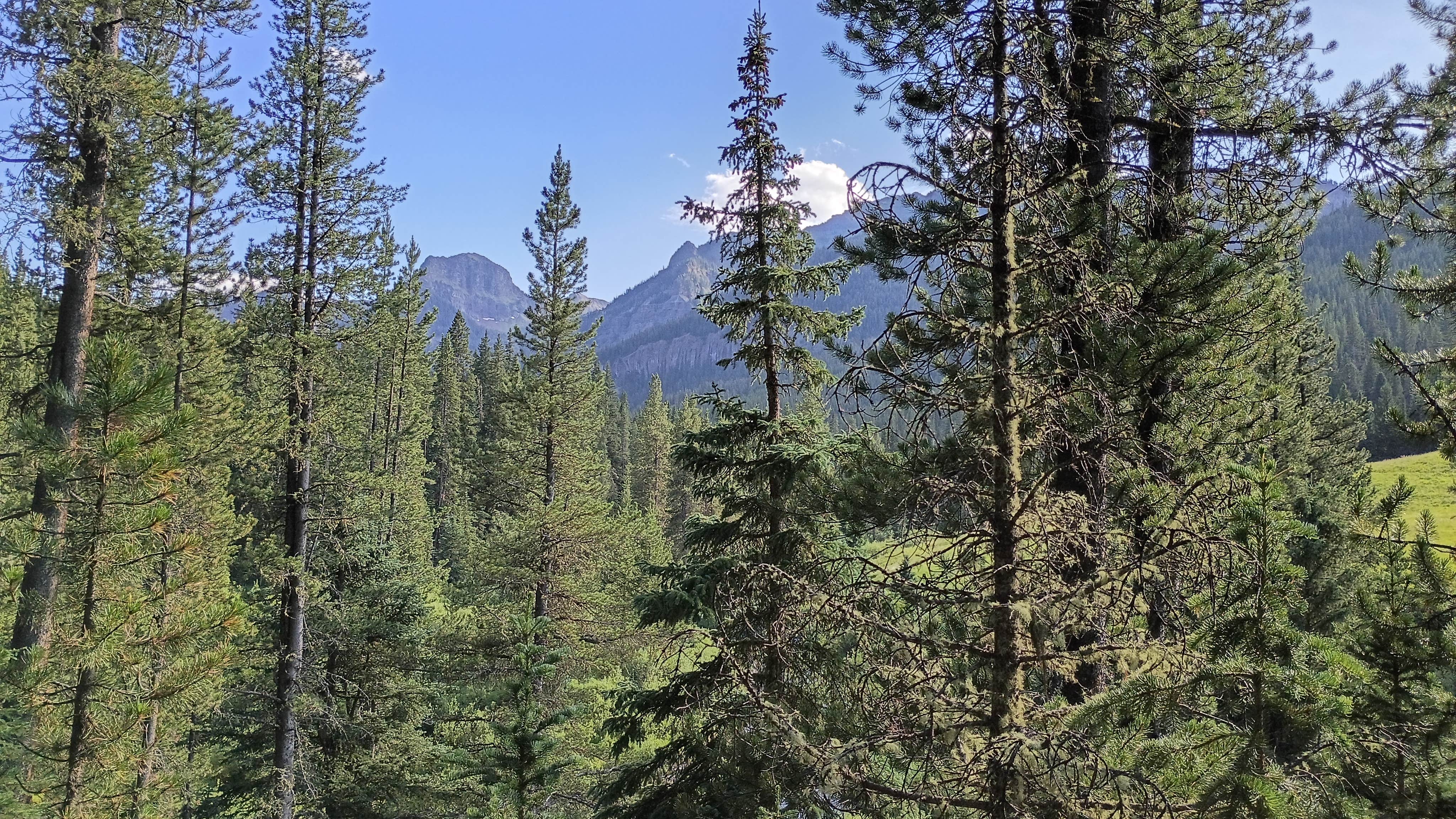 Camper-submitted photo at Hyalite Canyon Dispersed near Livingston, MT