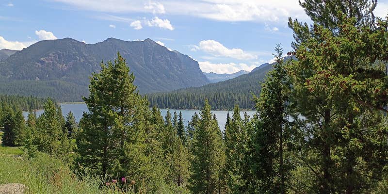 Camper submitted image from Hyalite Canyon Dispersed