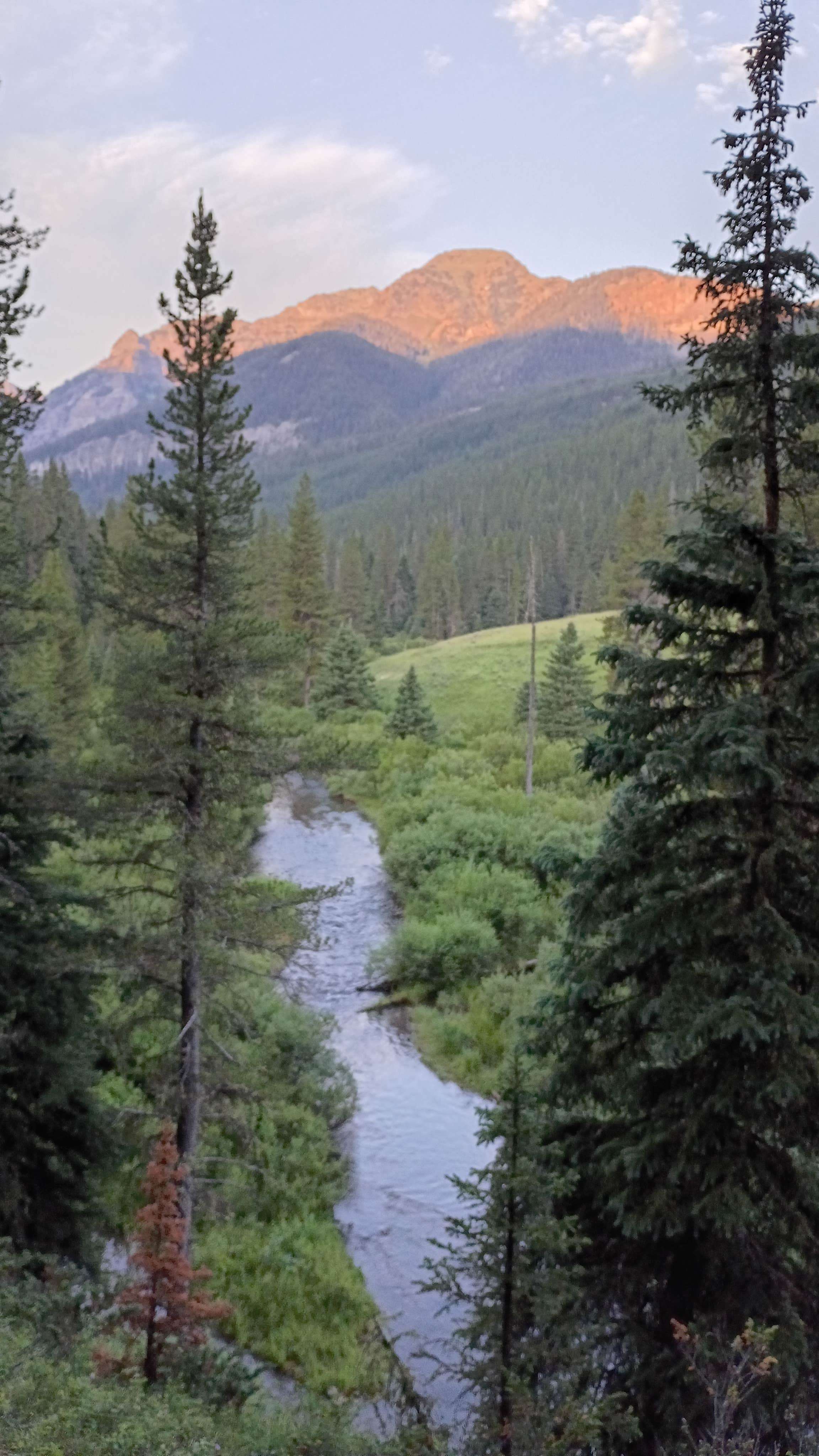 Camper-submitted photo at Hyalite Canyon Dispersed near Livingston, MT
