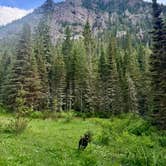 Review photo of Hyalite Canyon Dispersed - FS 1046 by Reames C., July 1, 2025