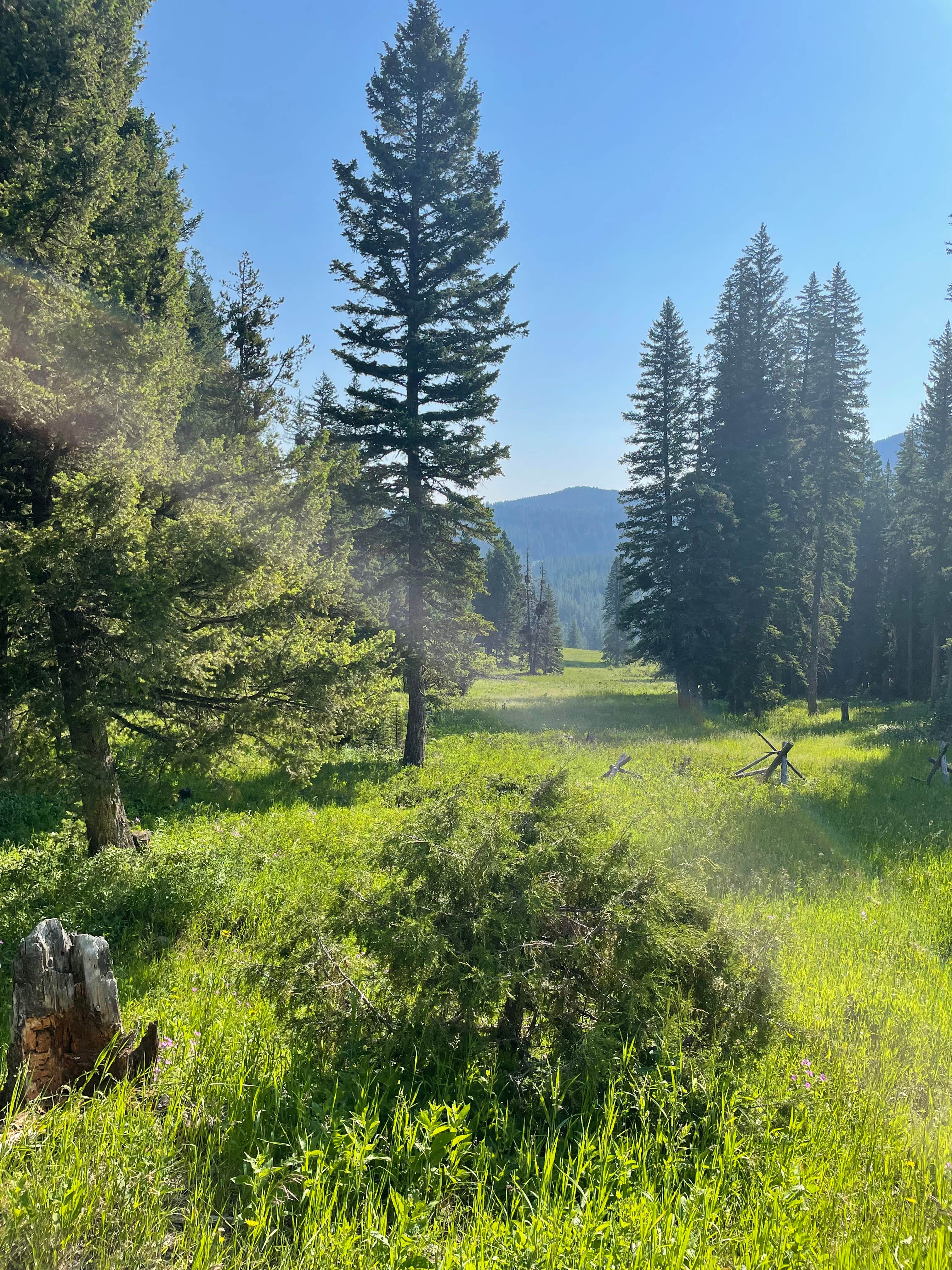 Camper-submitted photo at Hyalite Canyon Dispersed - FS 1046 near Bozeman, MT