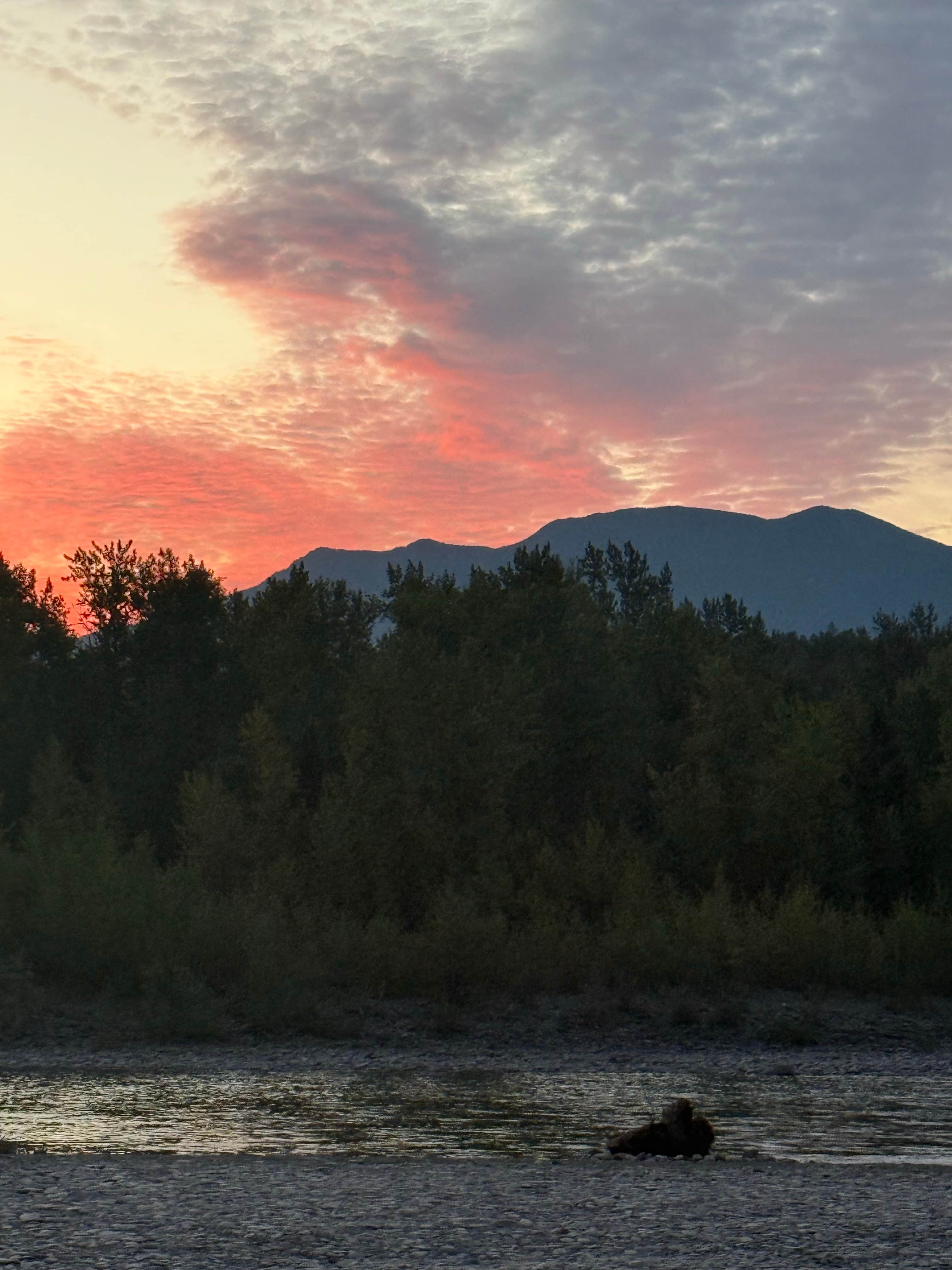 Reagan M.'s photo of a dispersed camping area at Hyalite Canyon Dispersed - FS 1046 near Belgrade, MT