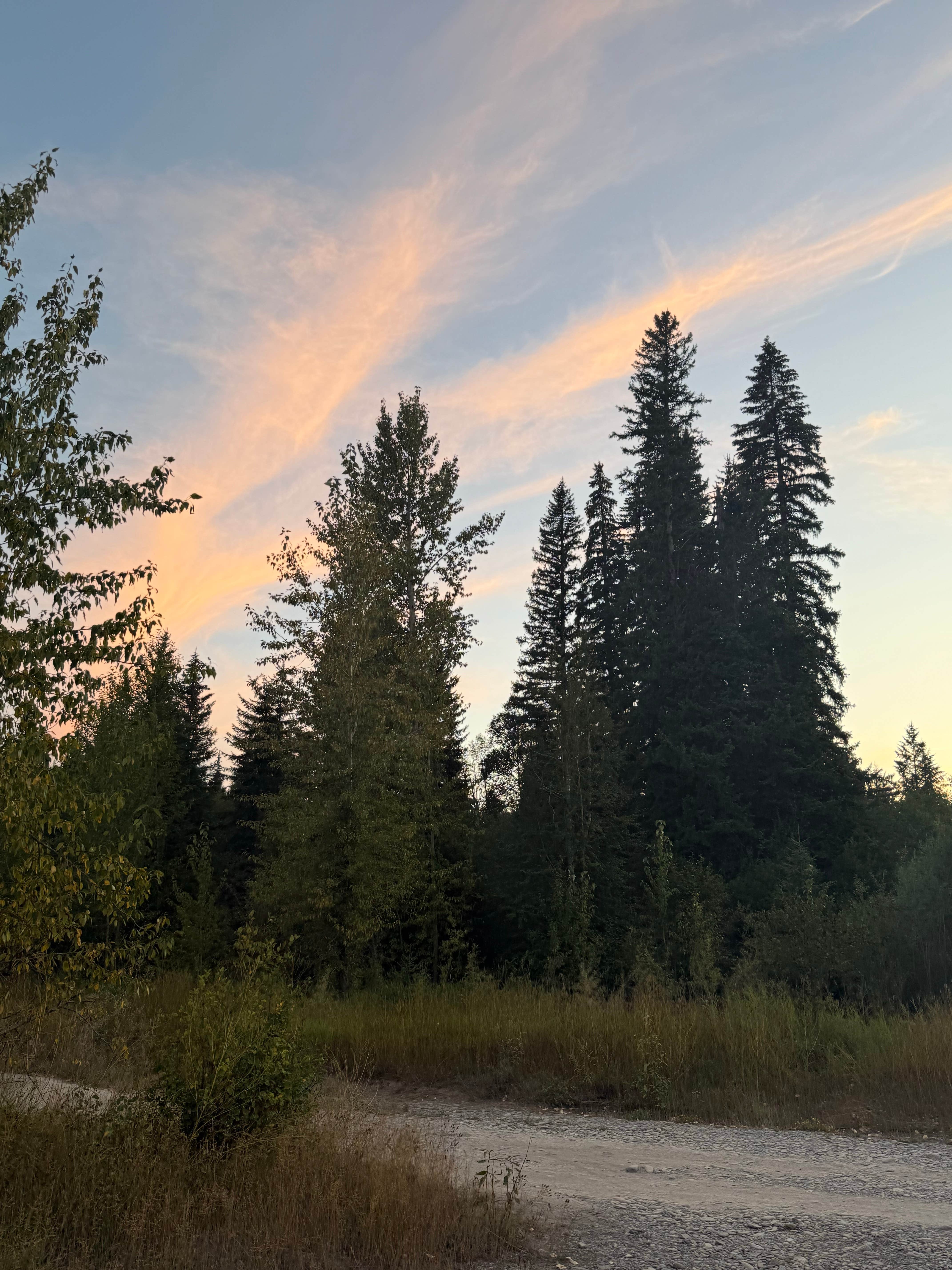 Camper-submitted photo at Hyalite Canyon Dispersed - FS 1046 in Montana