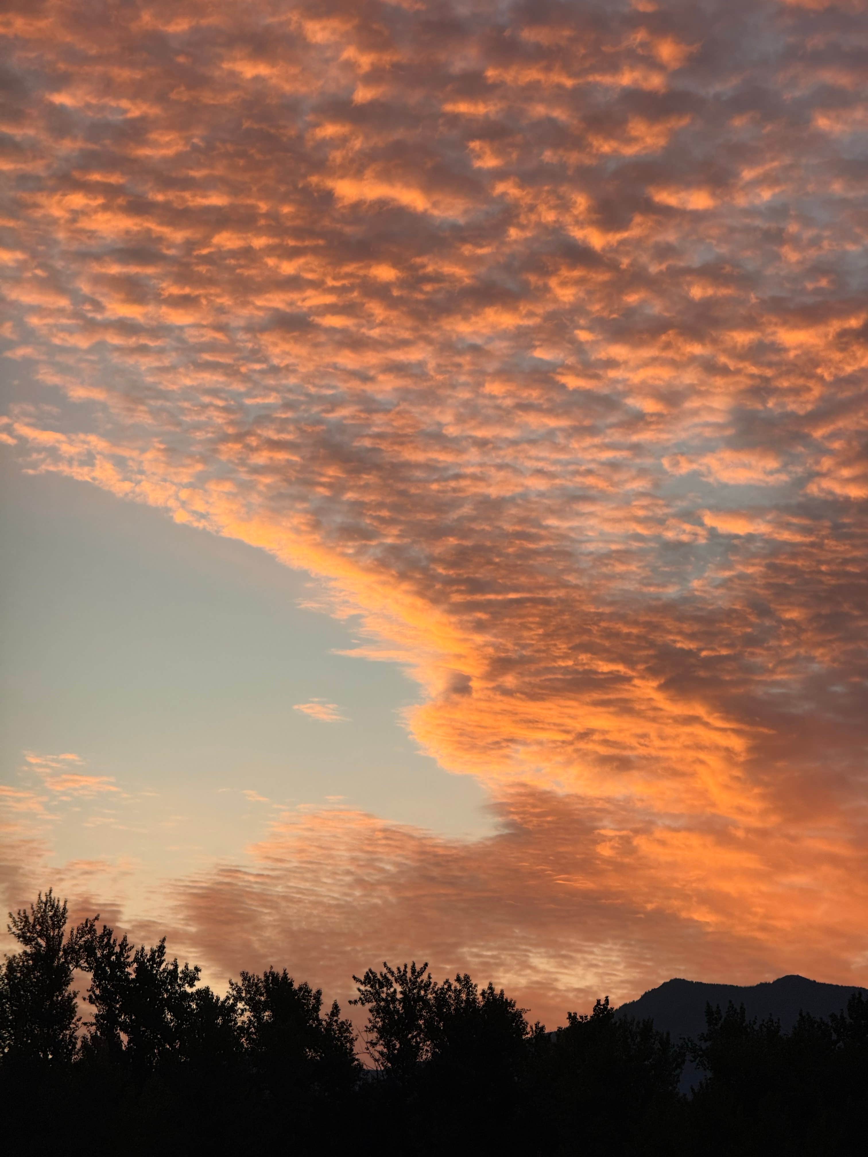 Camper-submitted photo at Hyalite Canyon Dispersed - FS 1046 in Montana