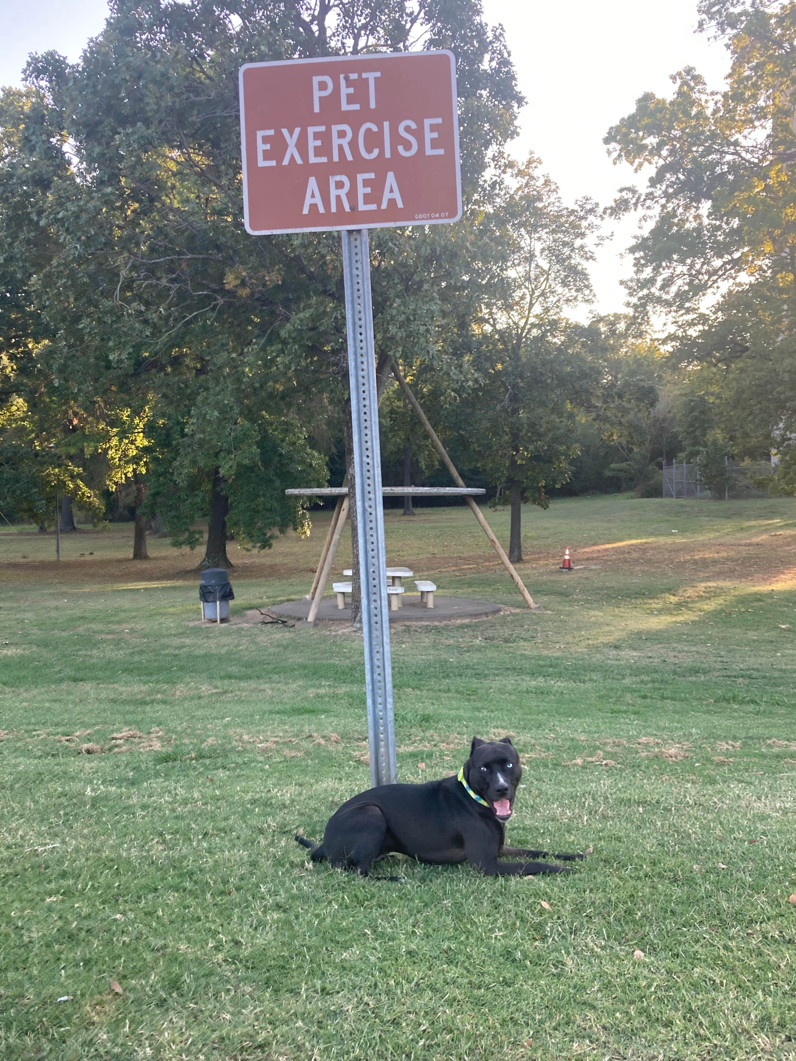 Alice S.'s photo of camping with pets at I40 Rest Area East Bound - Gans near Vian, OK