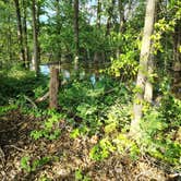 Review photo of i49 Rv Park - Missouri by Brittany W., July 2, 2026