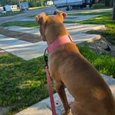 Review photo of i49 Rv Park - Missouri by Brittany W., July 2, 2026