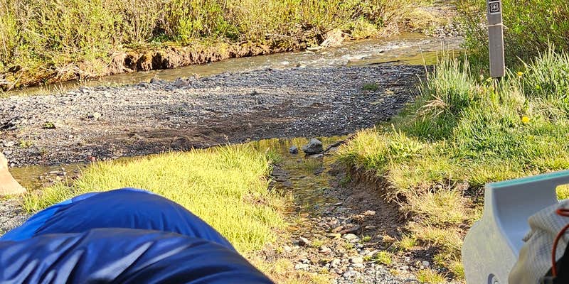 Camper submitted image from Ice Lake Trailhead Dispersed