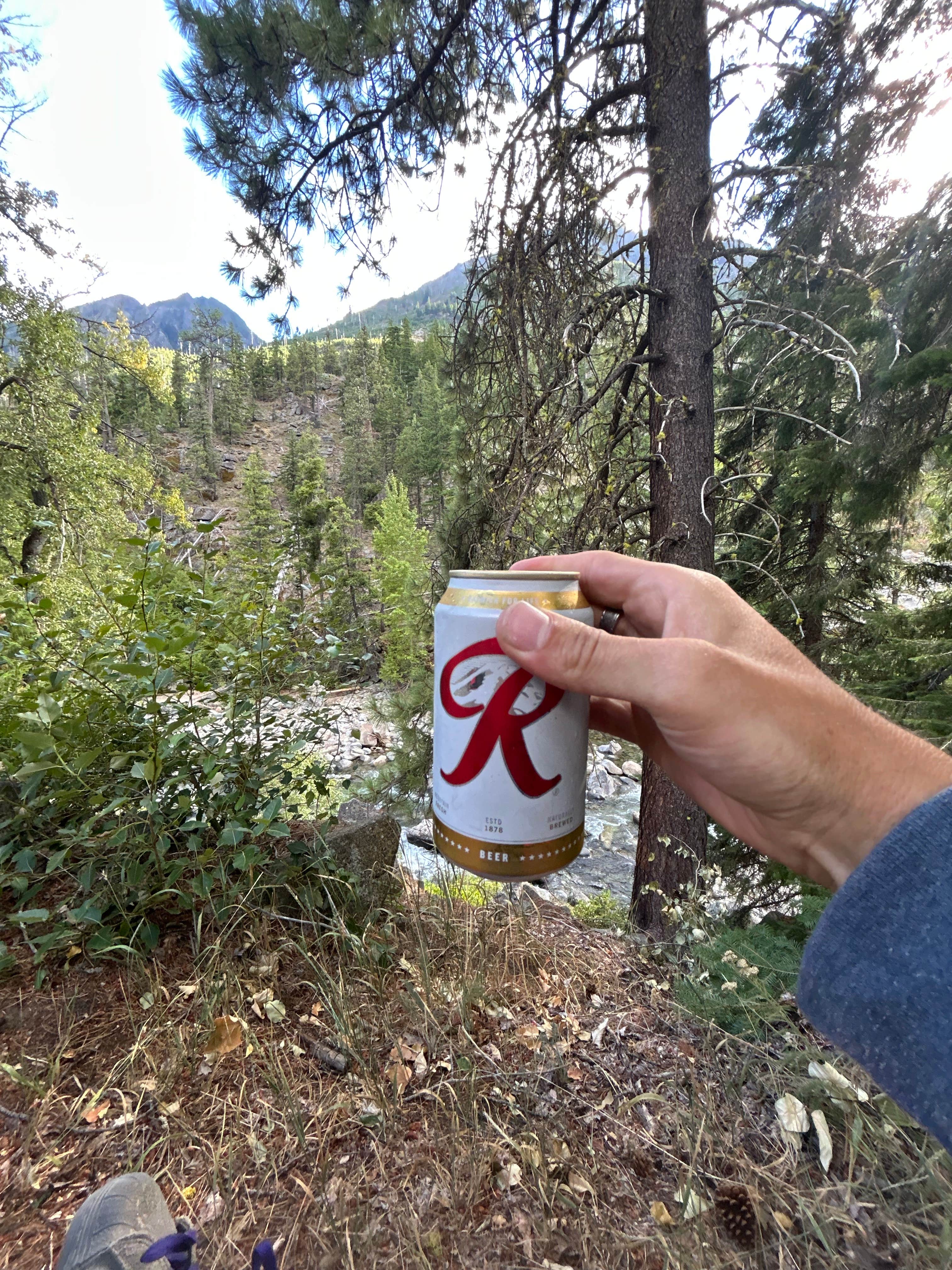 Icicle Rd RV Camping
